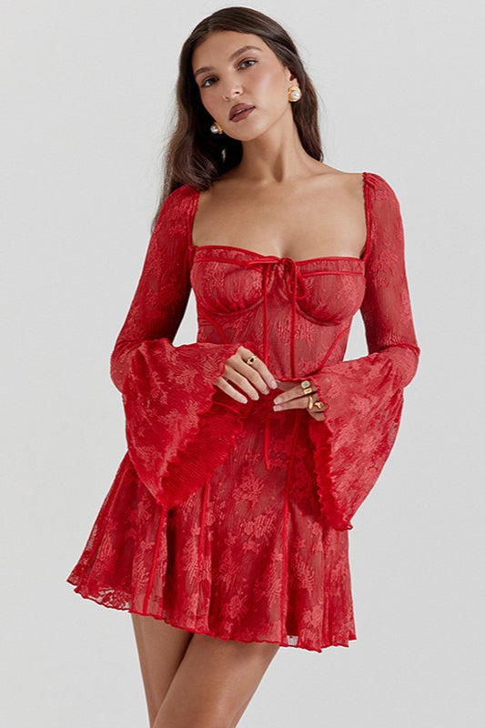 Lace Corset Mini Dress