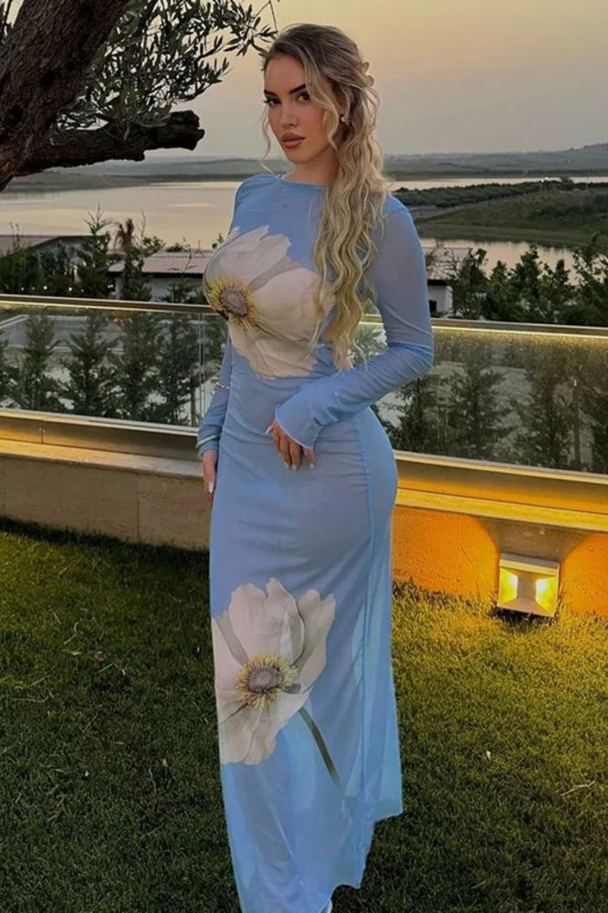 Mesh Print Lace Up See Through Backless Maxi Dress - View 2