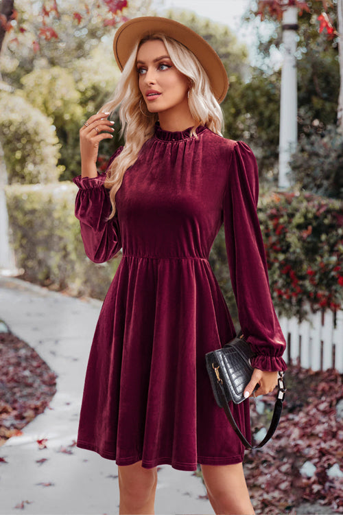 Velvet Mock Neck Long Sleeve Fit and Flare Mini Dress