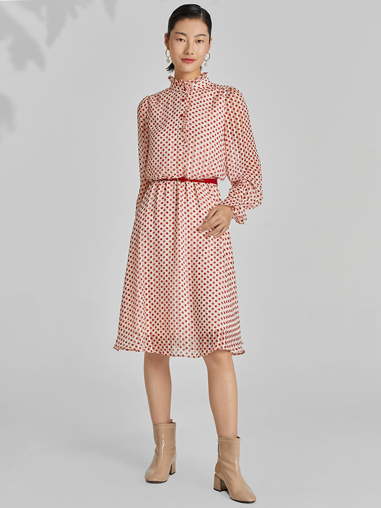 Gathered Waist Chiffon Polka Dot Midi Dress - View 5