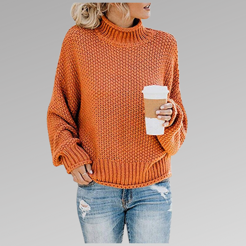 Turtleneck Long Sleeve Chunky Knit Sweater