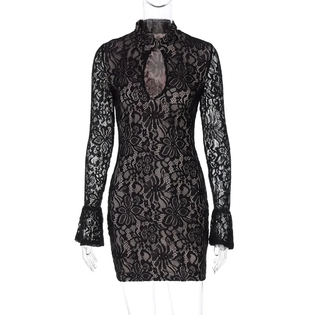 Brianna Lace Mini Dress - View 2