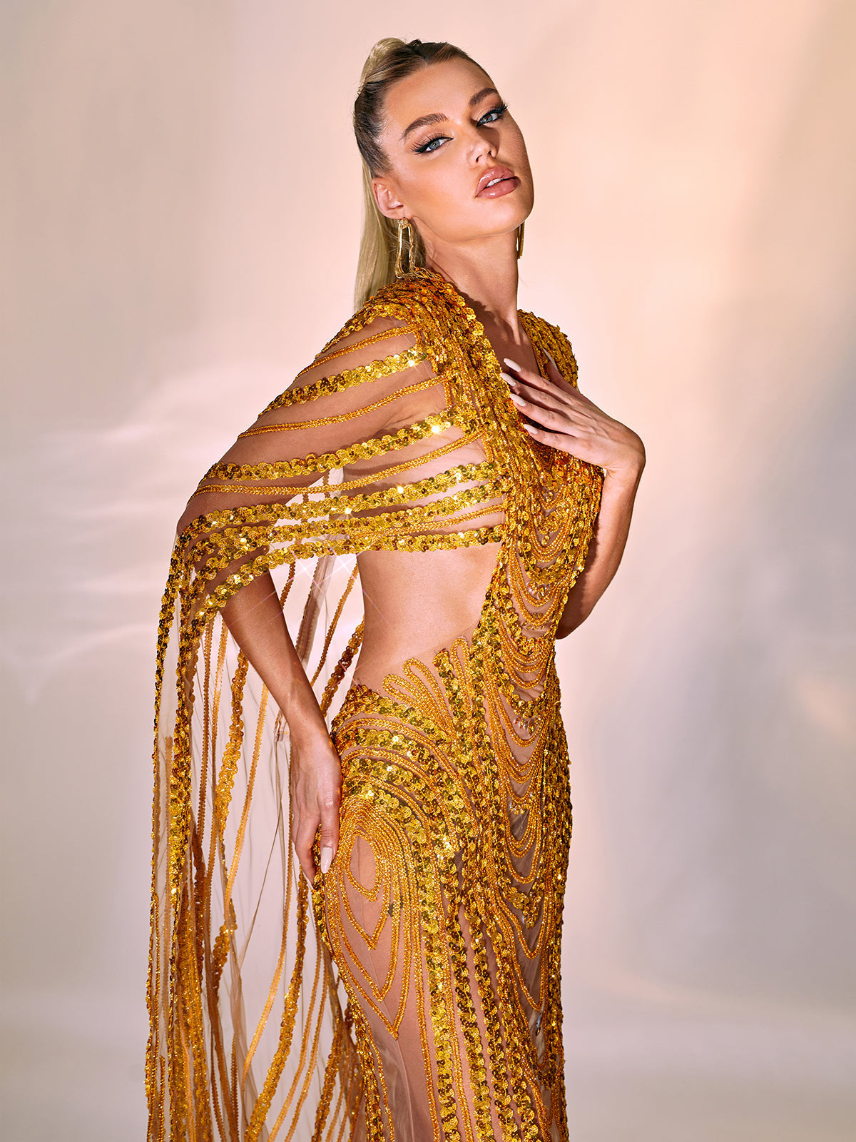 Chana Sequin Crystal Mesh Maxi Dress - View 4
