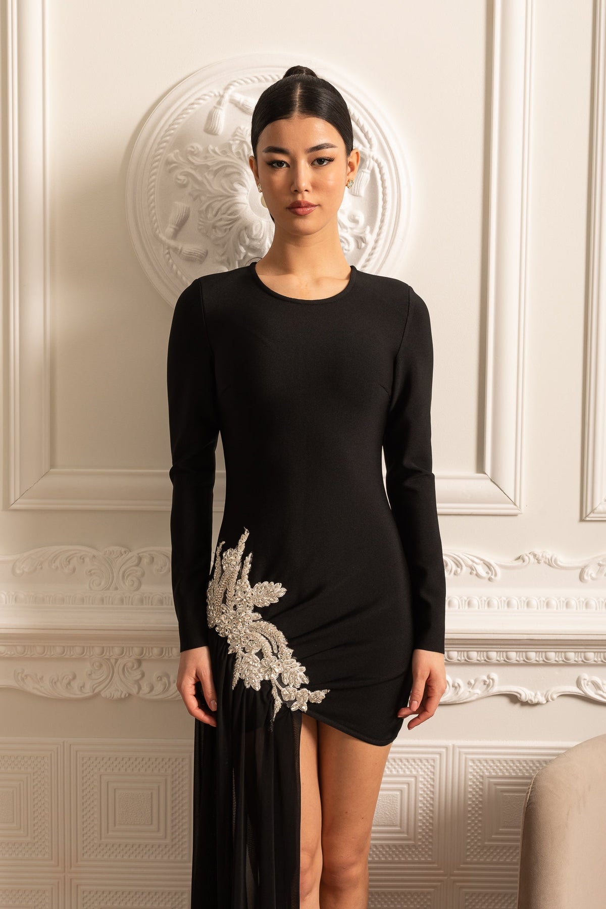 Long Sleeve Rhinestone Hip Applique Sheer Train Panel Mini Dress - View 6