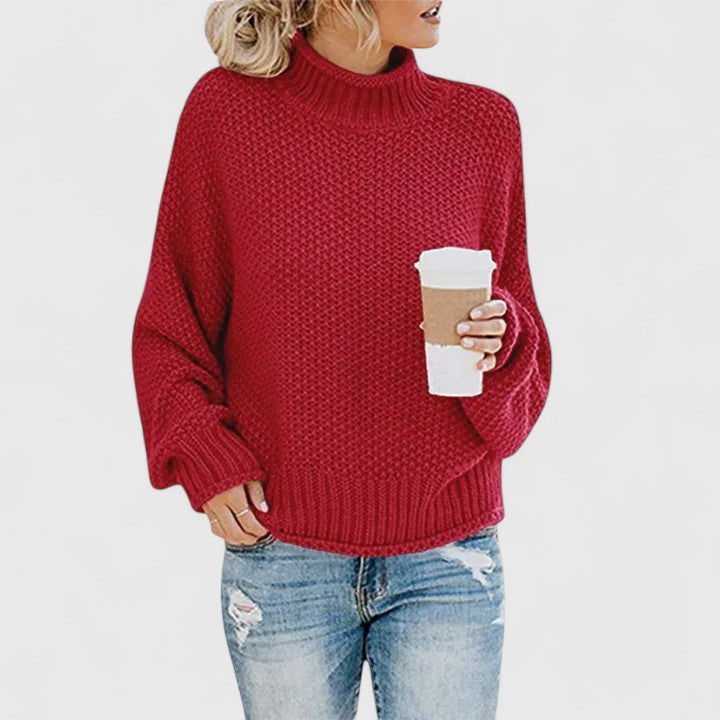 Turtleneck Long Sleeve Chunky Knit Sweater 2