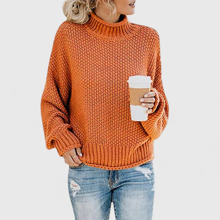 Turtleneck Long Sleeve Chunky Knit Sweater 6