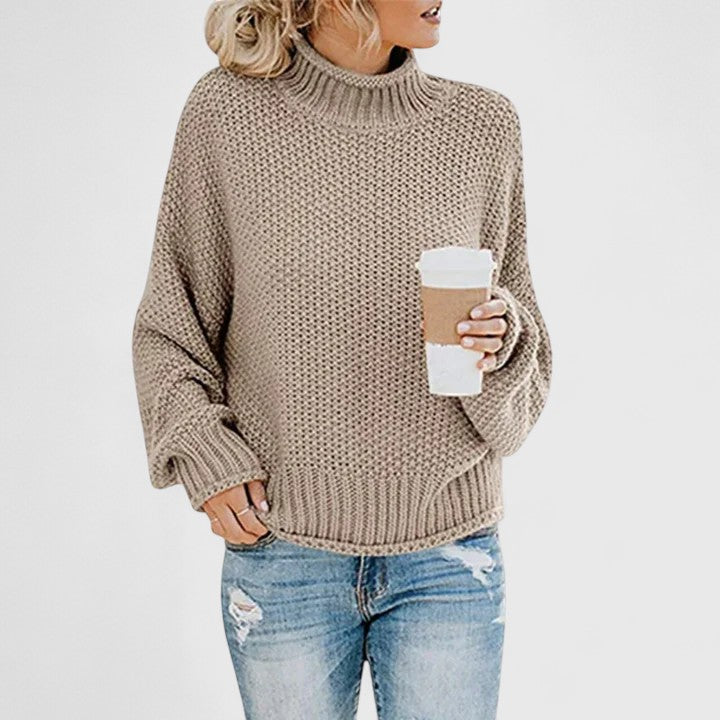 Turtleneck Long Sleeve Chunky Knit Sweater 7