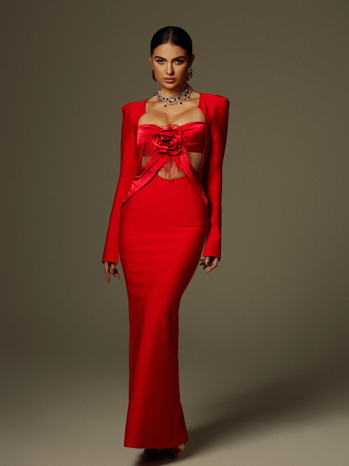 Rose Applique Feather Trim Cut Out Long Sleeve Mermaid Maxi Gown - View 3