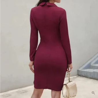 Lapel Collar Long Sleeve Back Zip Bodycon Knee Length Cocktail Dress - View 4