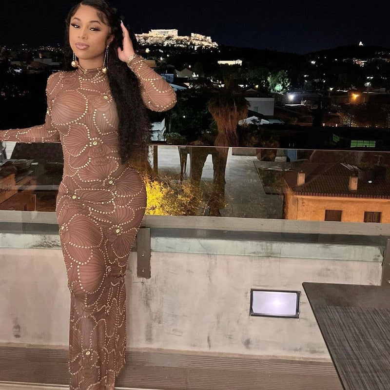 Crew Neck Long Sleeve Rhinestone Mesh Bodycon Maxi Dress 17