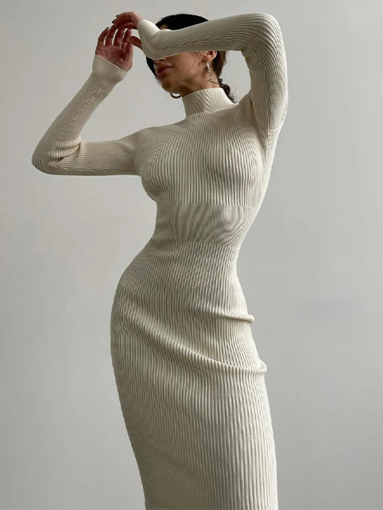 Ribbed Knit Turtleneck Long Sleeve Bodycon Maxi Dress