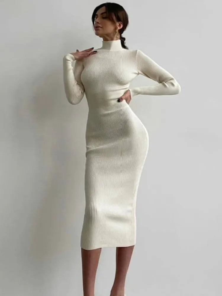 Ribbed Knit Turtleneck Long Sleeve Bodycon Maxi Dress - View 3