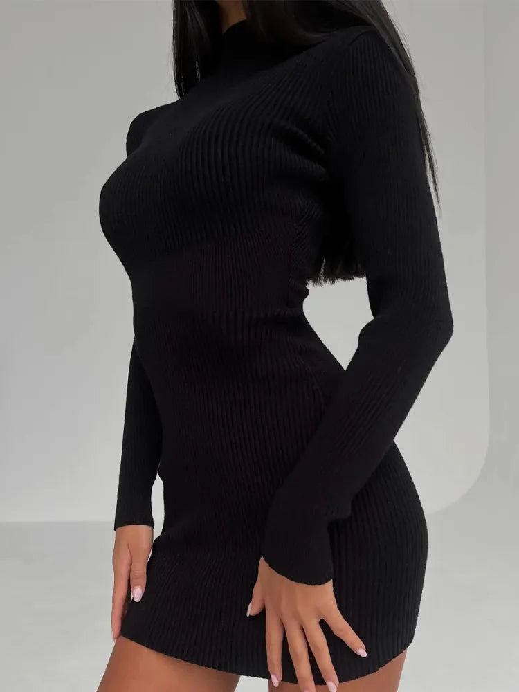Ribbed Knit Turtleneck Long Sleeve Bodycon Maxi Dress - View 6