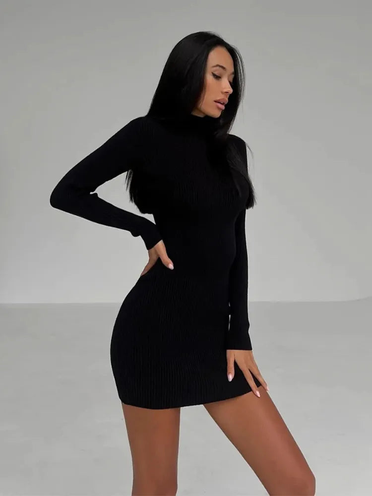 Ribbed Knit Turtleneck Long Sleeve Bodycon Maxi Dress - View 5