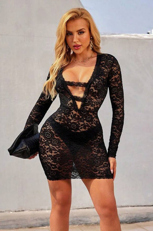 Lace Sheer Mesh Mini Dress