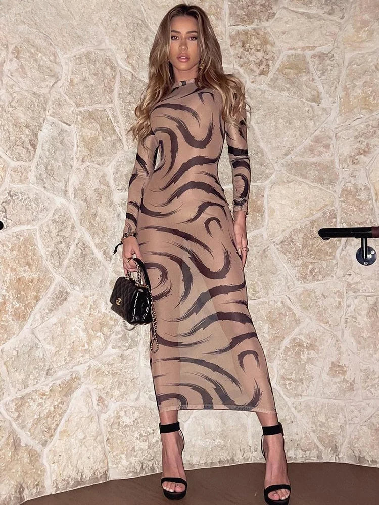 Mesh Long Sleeve See Through Midi Dress - View 4