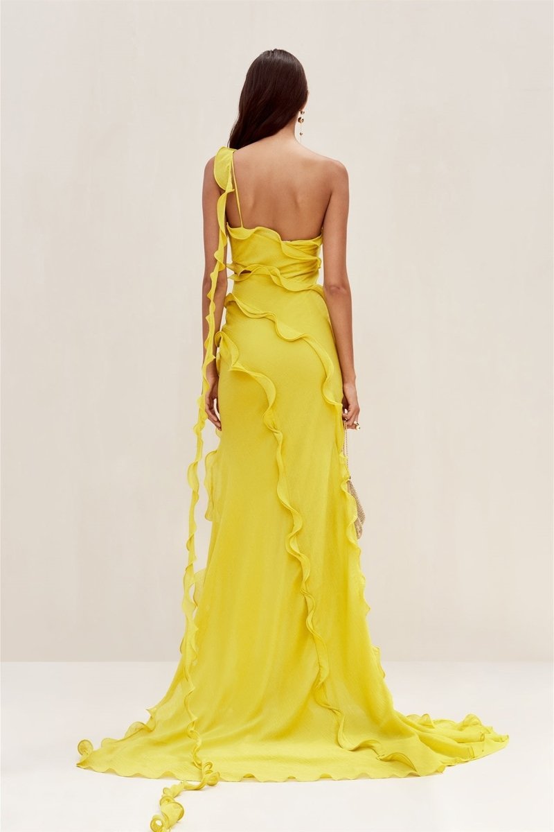 Paulina Maxi Chiffon Dress - View 3