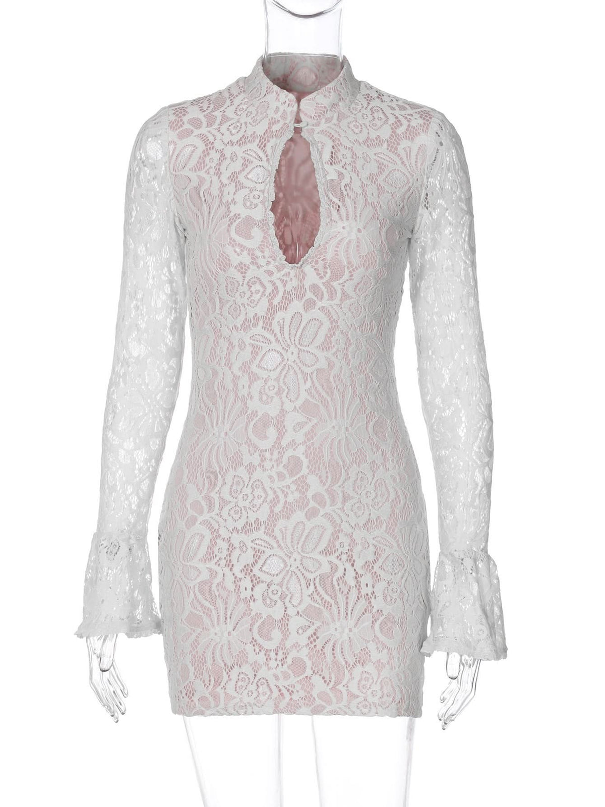 Brianna Lace Mini Dress - View 10