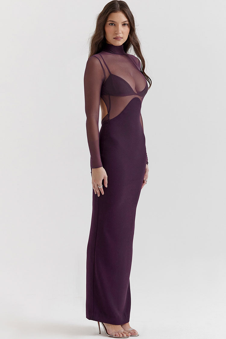 Mesh Mock Neck Long Sleeve Cut Out Bodycon Maxi Dress - View 3