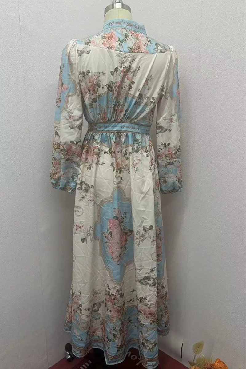 Floral Print V-Neck Long Sleeve Belted A-Line Maxi Dress - View 5