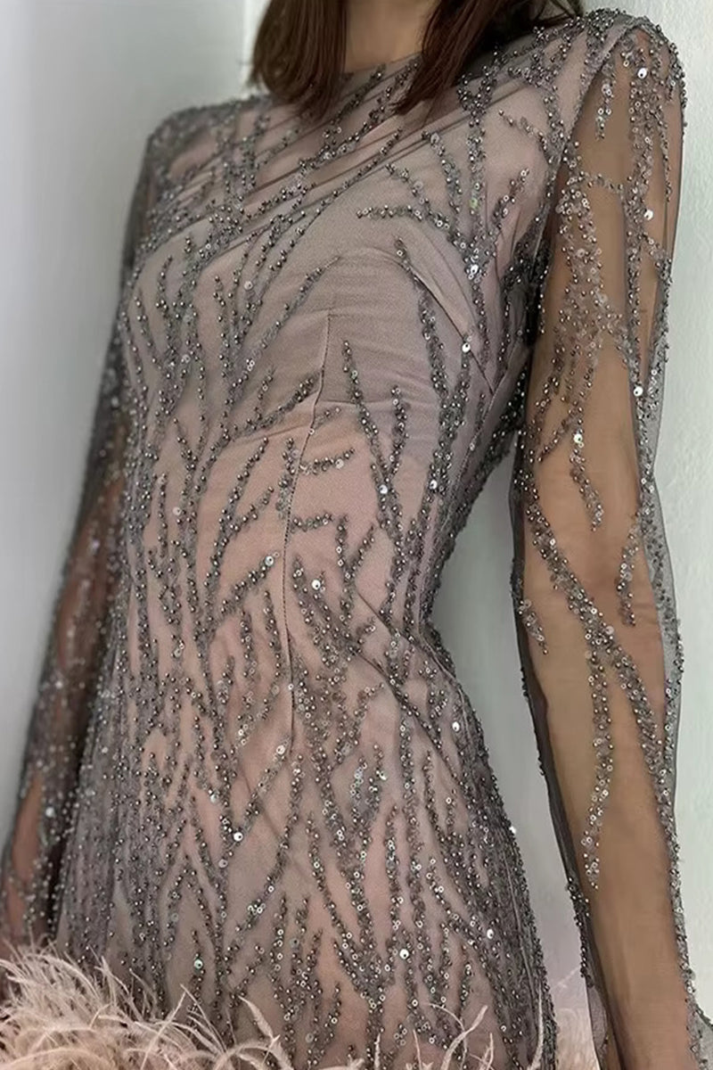 Sheer Sequin Long Sleeve Feather Trim Bodycon Mini Dress 4