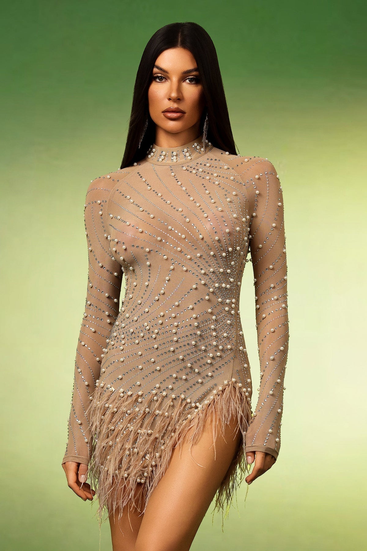 Long Sleeve Mock Neck Pearl Rhinestone Feather Fringe Mesh Mini Dress