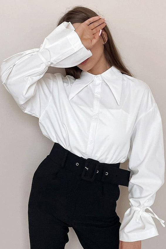 French Point Collar Blouse