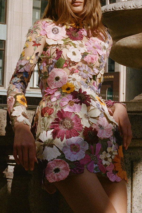 Floral Applique Long Sleeve Sheer Bodycon Mini Dress - View 4