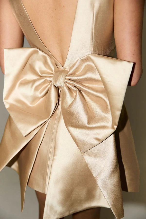 Daisy Satin Mini Dress - View 6