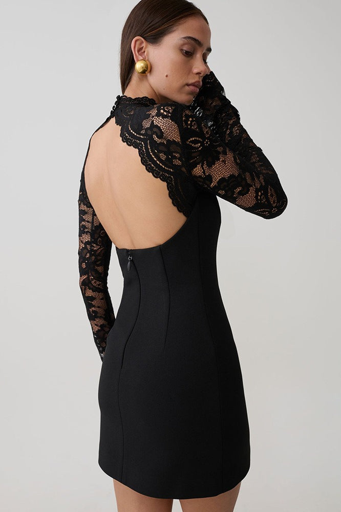 Backless Lace Sheer Mesh Bodycon Dress