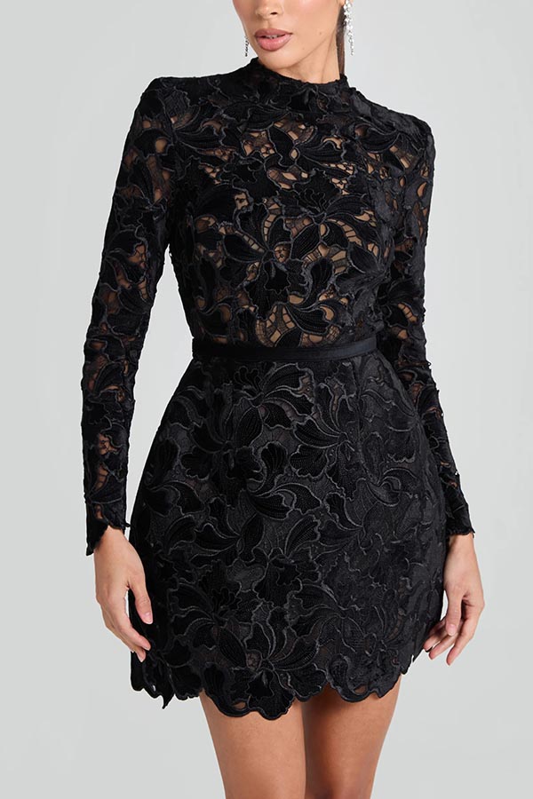 Floral Lace High Neck Long Sleeve Belted Mini Dress - View 3