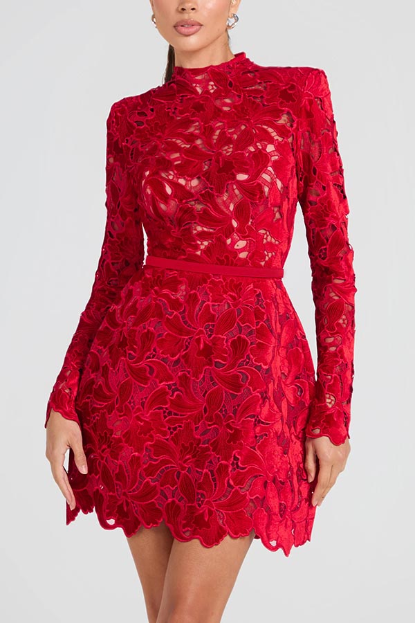 Floral Lace High Neck Long Sleeve Belted Mini Dress - View 7