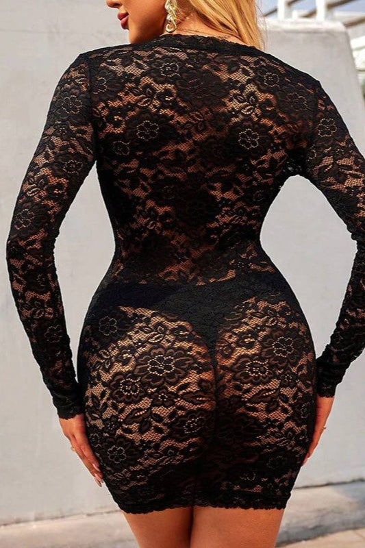 Lace Sheer Mesh Mini Dress