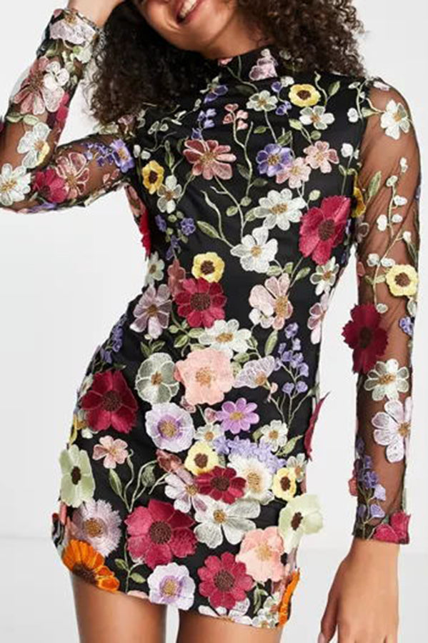 Floral Applique Long Sleeve Sheer Bodycon Mini Dress - View 2