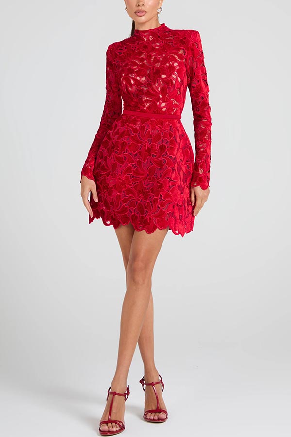 Floral Lace High Neck Long Sleeve Belted Mini Dress - View 8