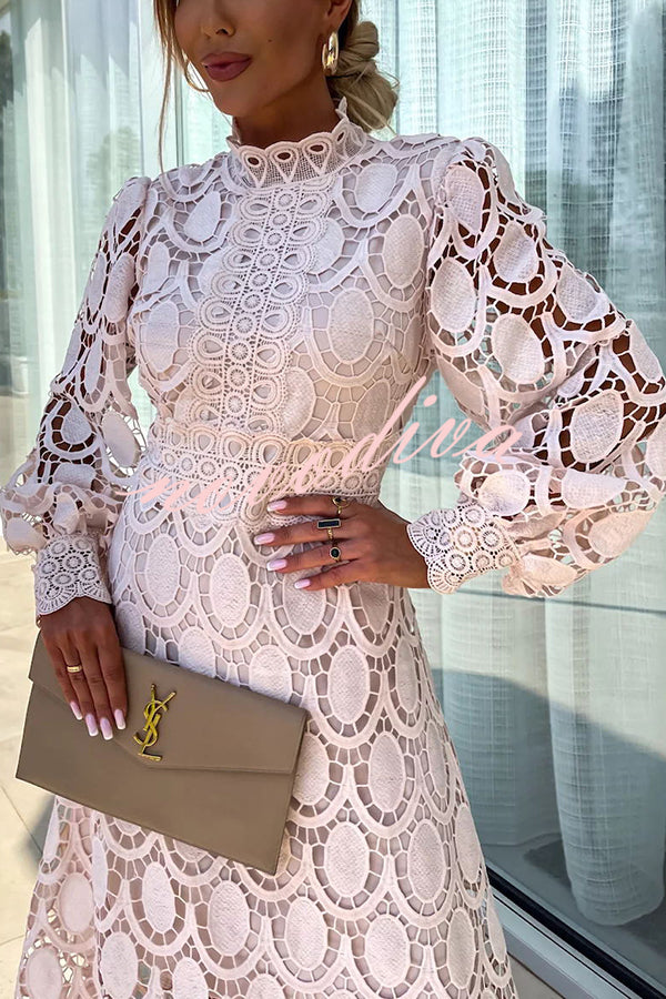 Crochet Lace High Neck Long Sleeve Maxi Dress 4