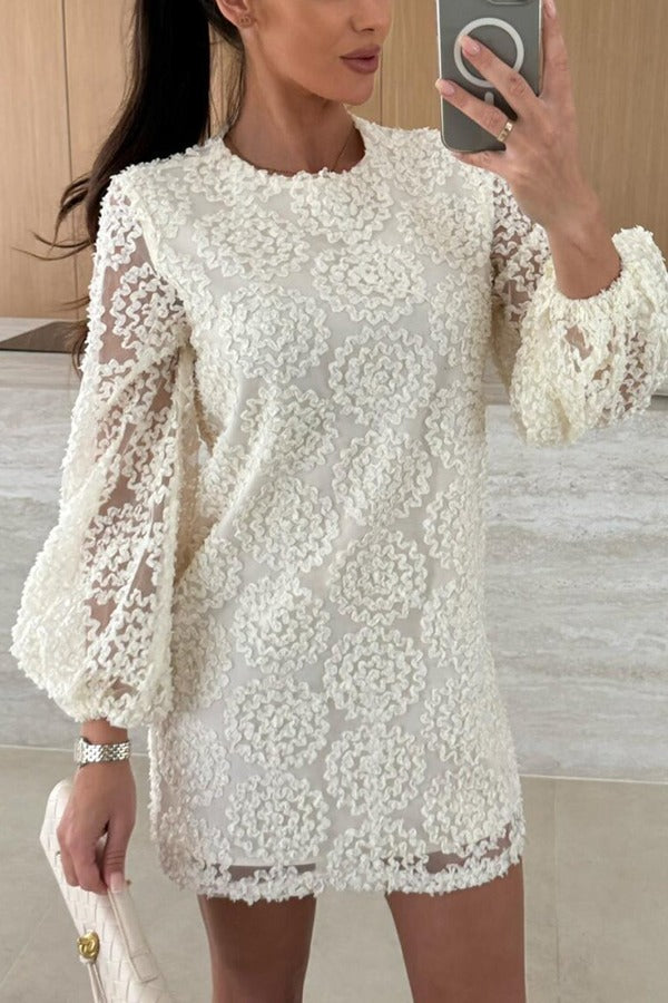 Kimberly Balloon Sleeve Textured Lace Mini Dress - View 4