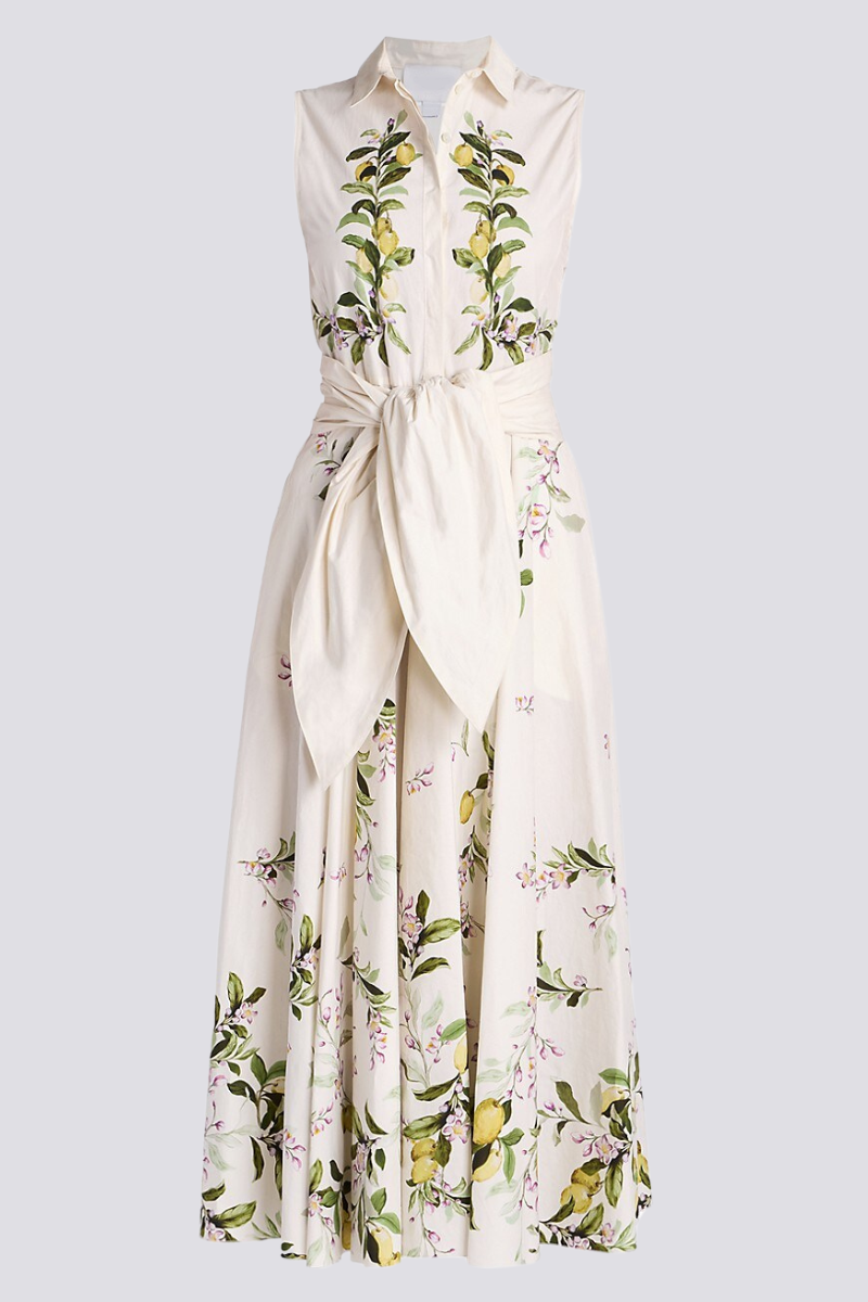 Floral Print Sleeveless Collared Tie Waist Maxi Dress - View 4