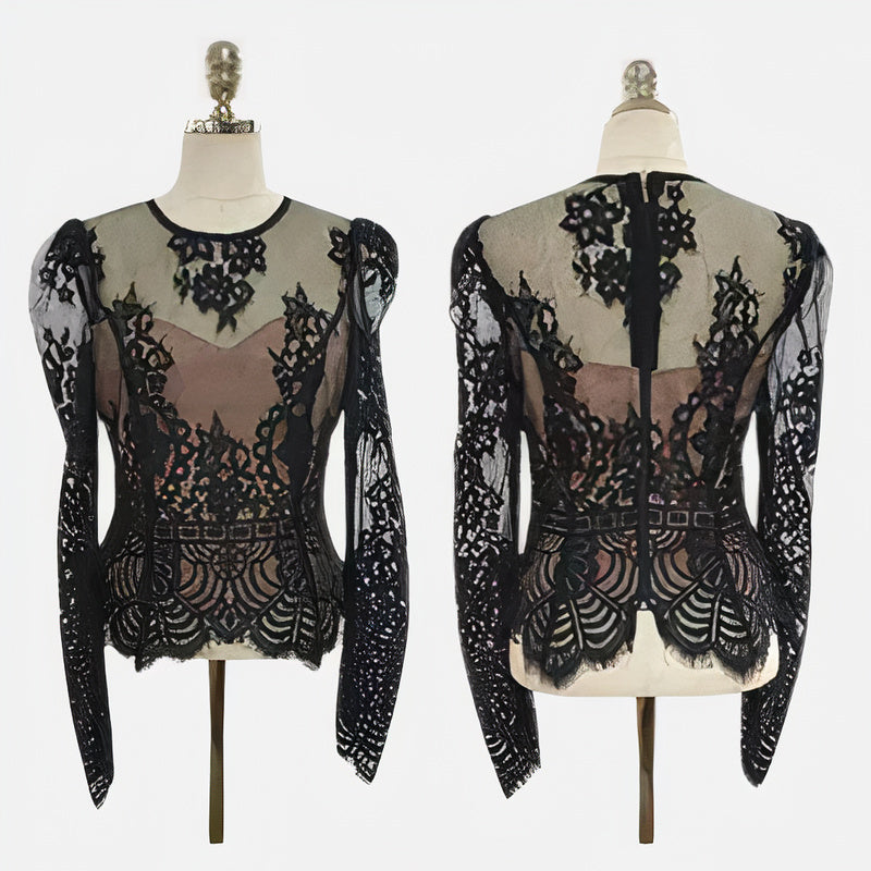 Lace Round Neck Long Sleeve Sheer Bodycon Midi Dress - View 7