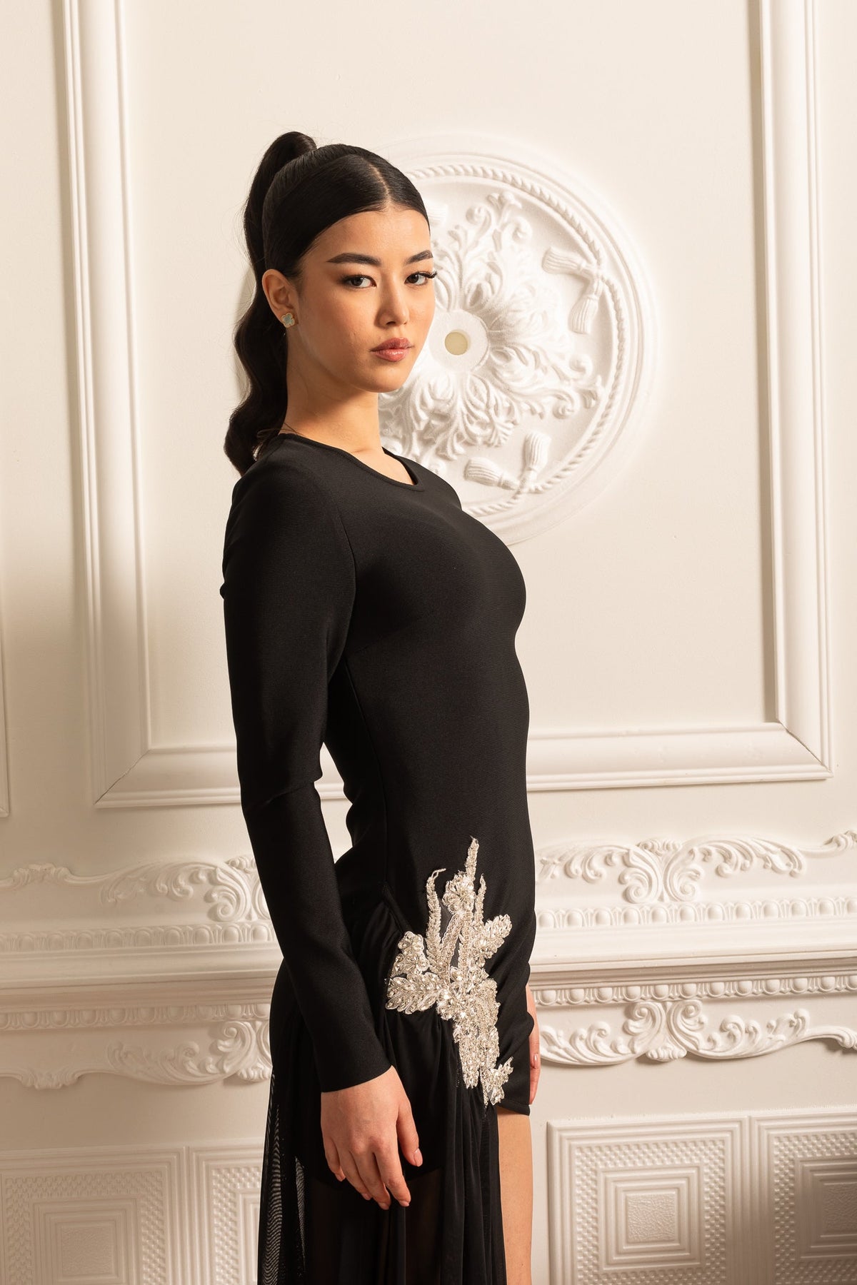 Long Sleeve Rhinestone Hip Applique Sheer Train Panel Mini Dress - View 11