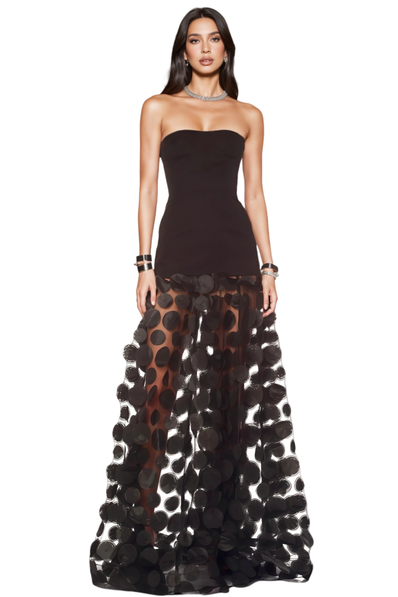 Eryxar Black Polka Dot Mesh Maxi Dress