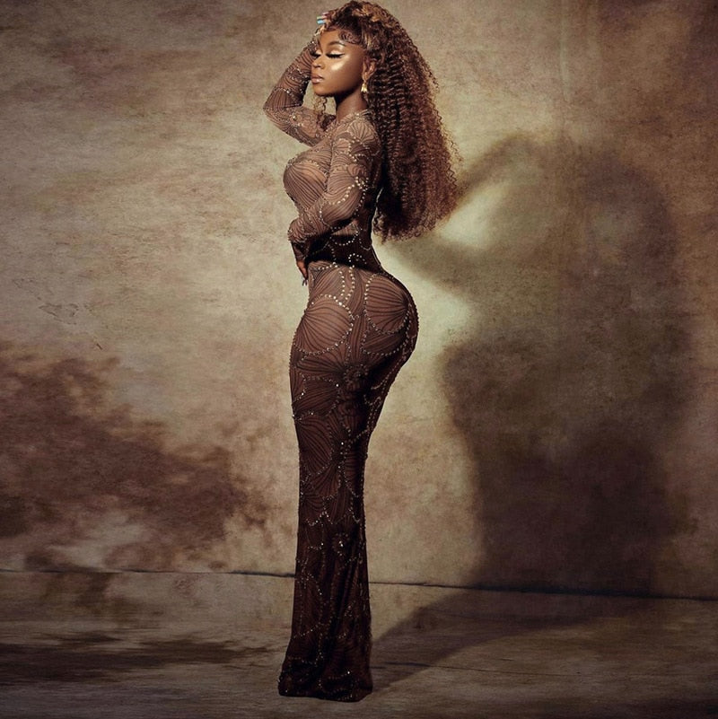 Crew Neck Long Sleeve Rhinestone Mesh Bodycon Maxi Dress 18