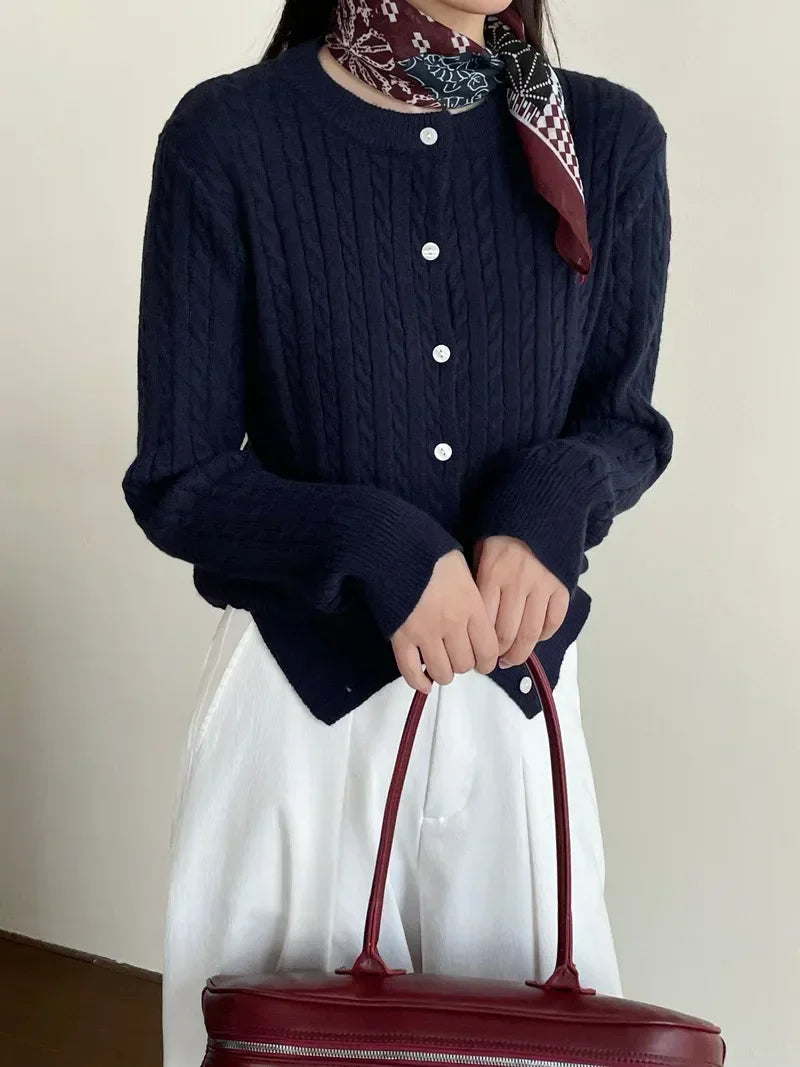 Navy Blue Cable Knit Cartoon Embroidered Trendy Cardigan Christmas Sweater / One Size Sweaters-L