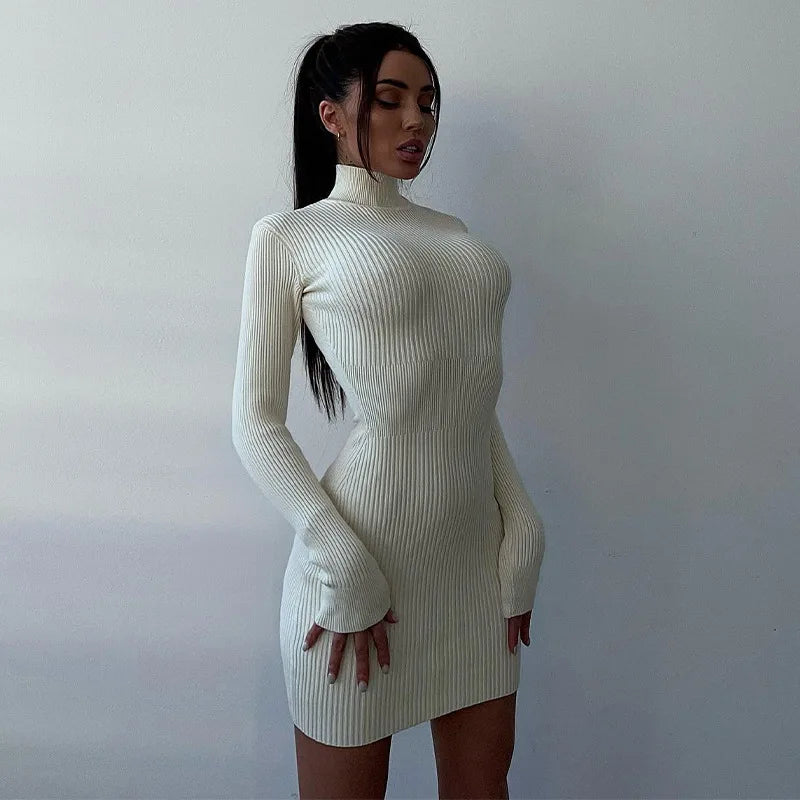 Ribbed Knit Turtleneck Long Sleeve Bodycon Maxi Dress - View 8