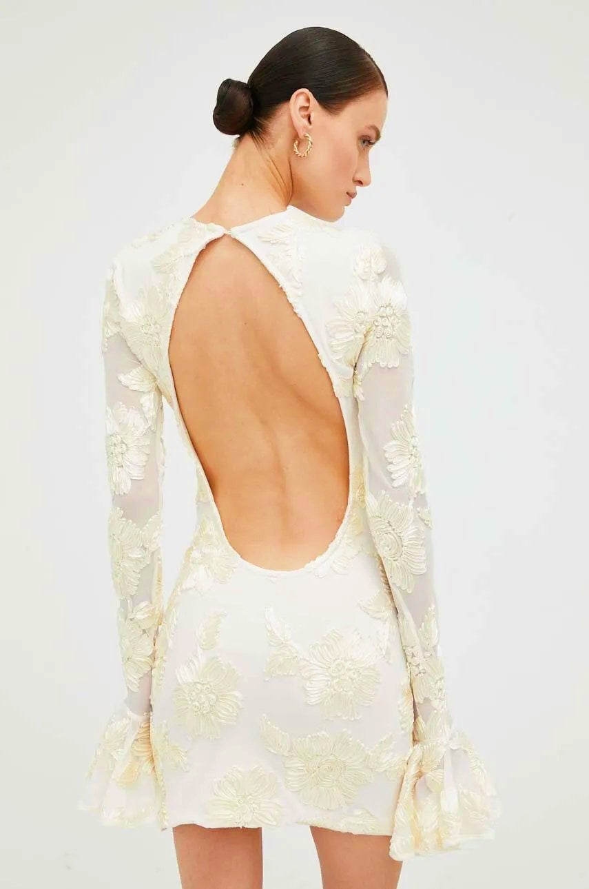 Norma Chic Backless Embroidered Mesh Mini Dress Silhouette Collection - View 2