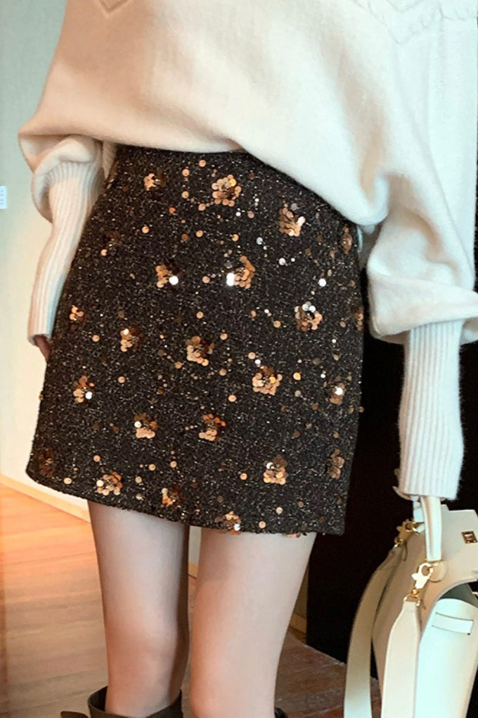 Embroidered Sequin High Waist A-Line Skirt