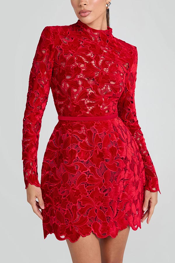 Floral Lace High Neck Long Sleeve Belted Mini Dress - View 2