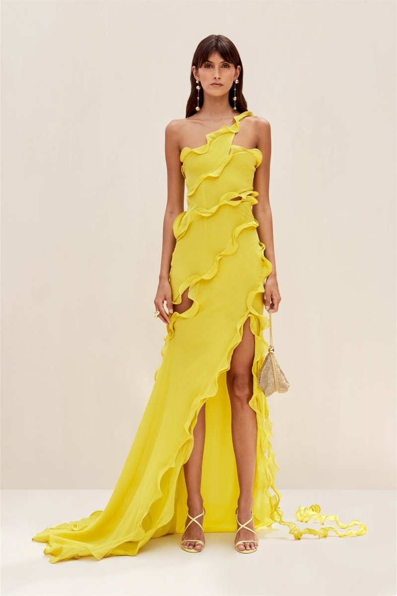 Paulina Maxi Chiffon Dress - View 8