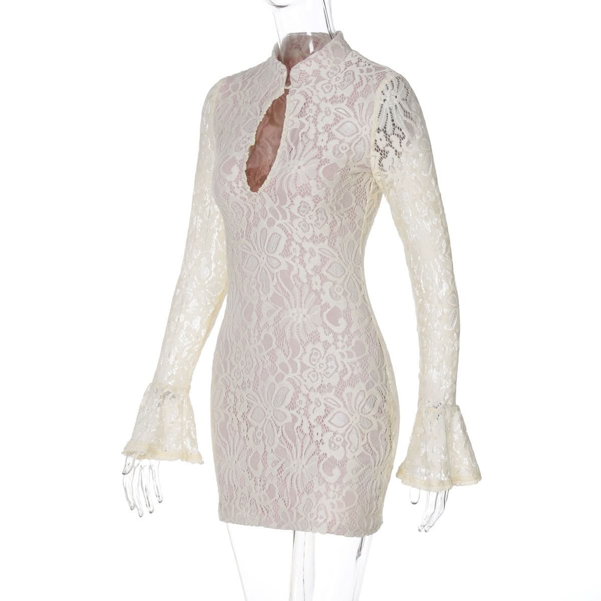 Brianna Lace Mini Dress - View 3