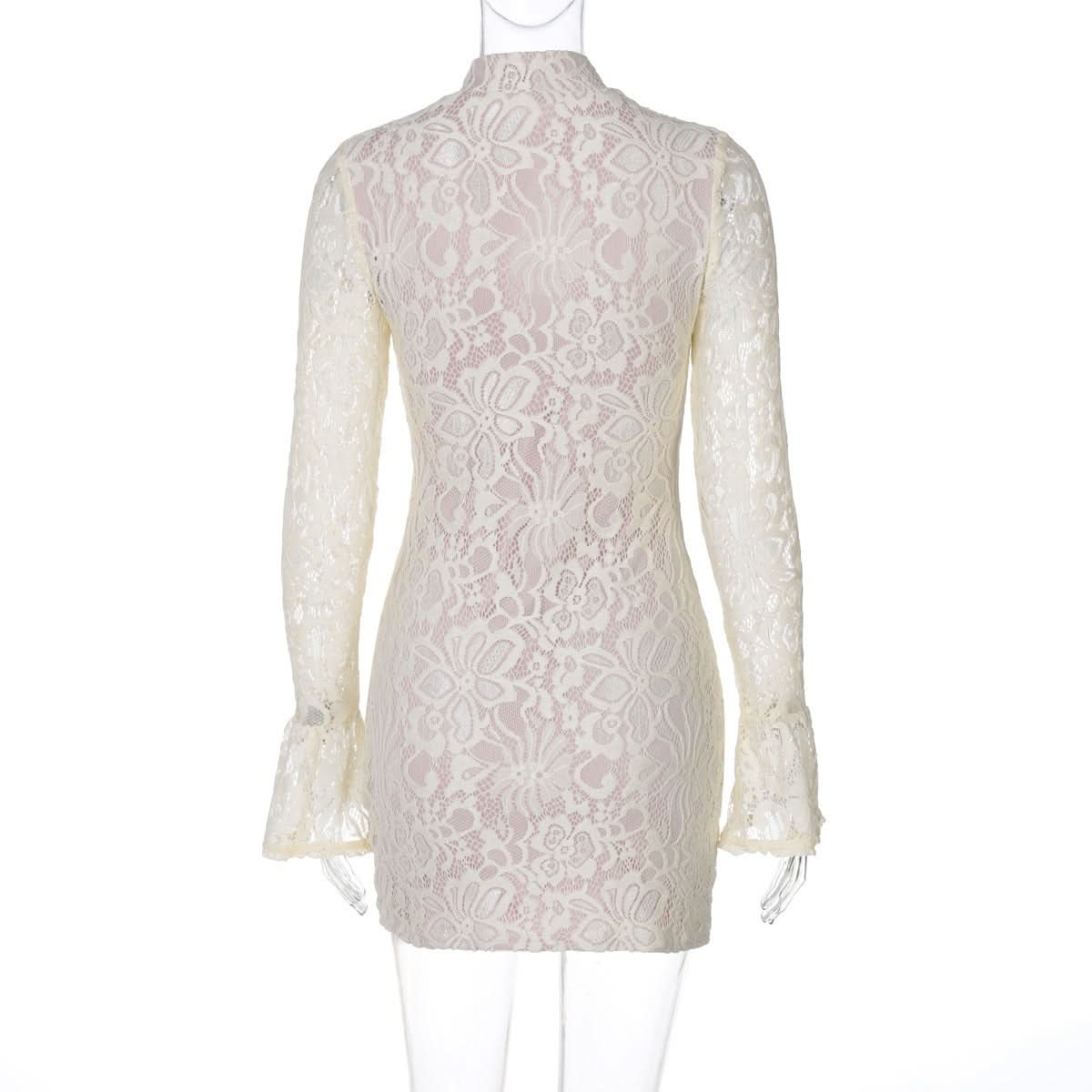 Brianna Lace Mini Dress - View 4